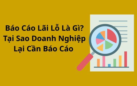 Báo cáo lãi lỗ: Nó là gì và tại sao doanh nghiệp của bạn cần một báo cáo